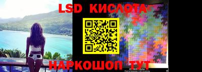 тгк Новозыбков