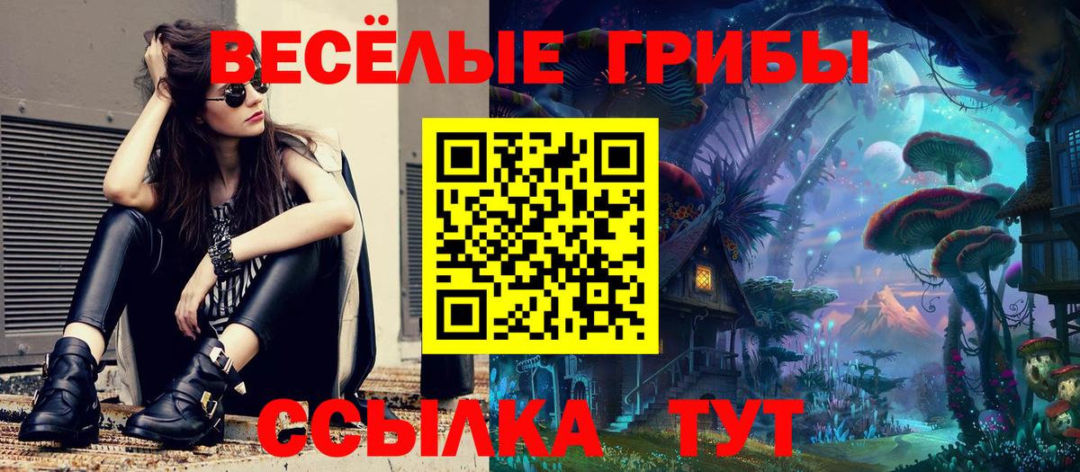Псилоцибиновые грибы Psilocybine cubensis Пыть-Ях