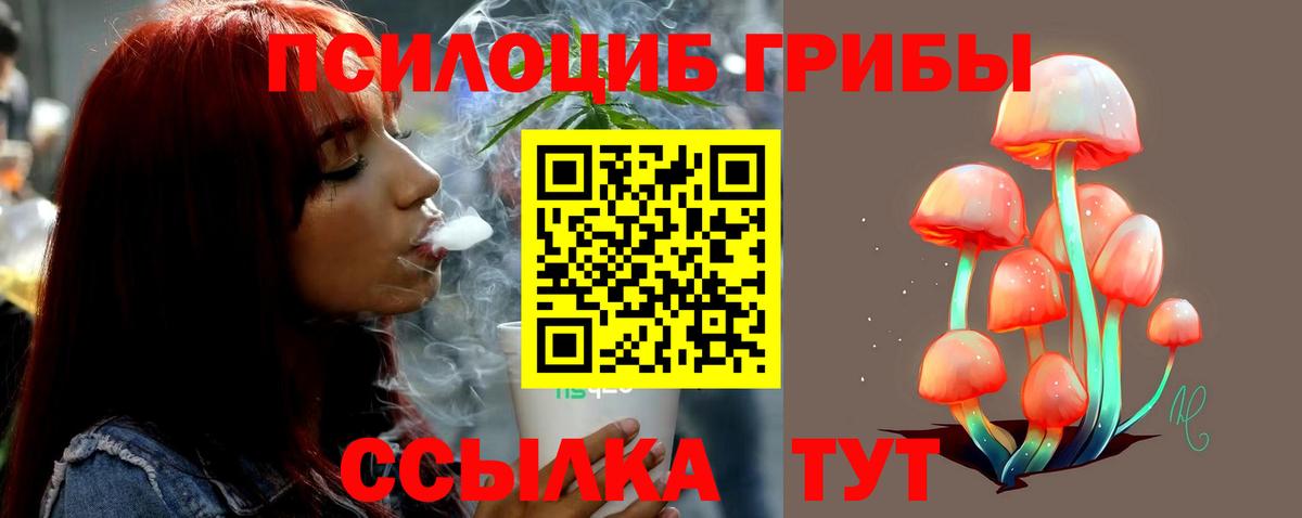 Пыть-Ях  Псилоцибиновые грибы Psilocybe  продажа наркотиков  Вход с VPN 